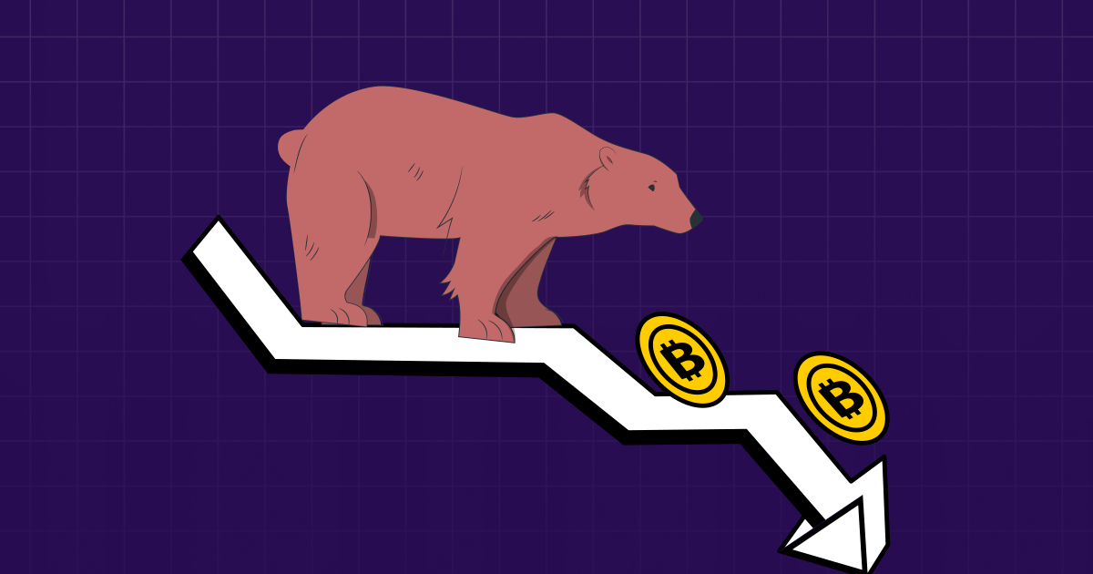 crypto bear market