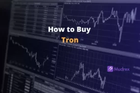 How to Buy TRON (TRX) in India: INR, UPI and Wallet Guide