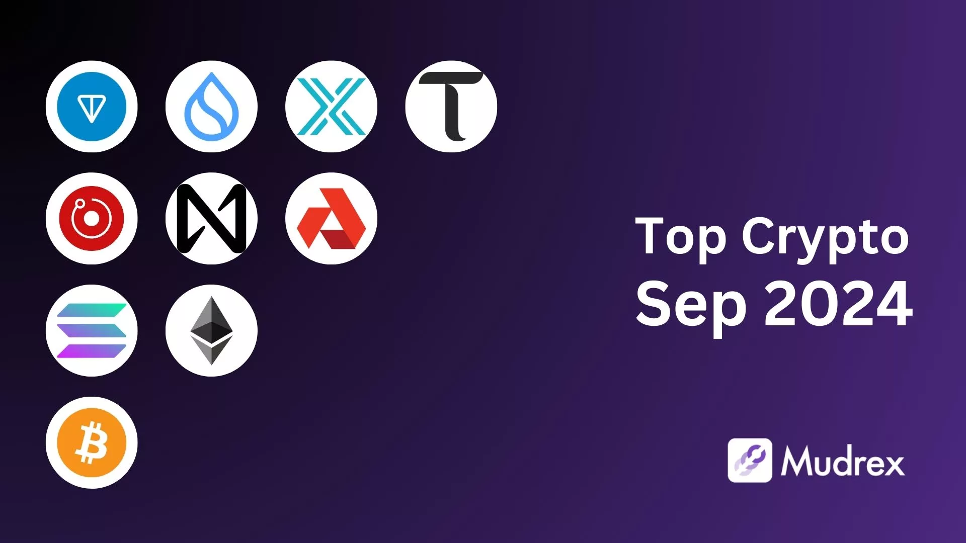 Top Cryptocurrencies to Buy for September 2024’s Bull Run - Mudrex Learn