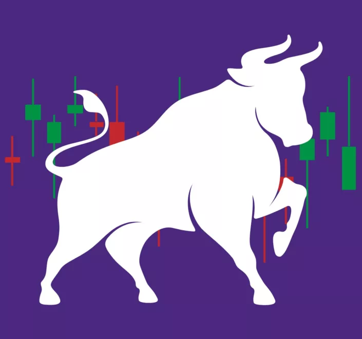 Top Altcoins To Buy In The Bull Run Of February 2025