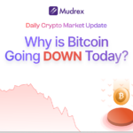 bitcoin down today
