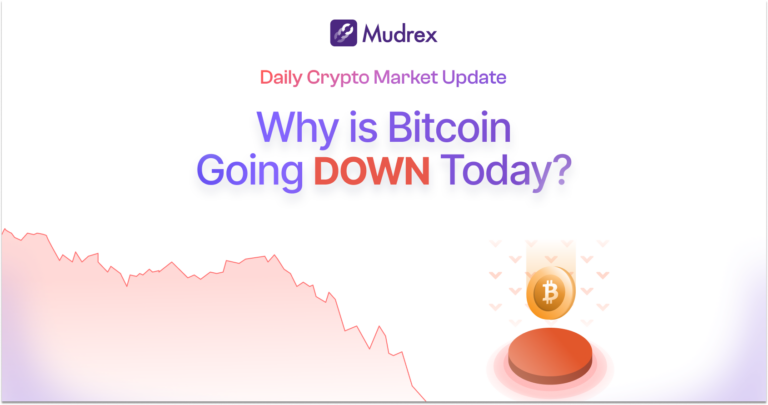 Why is Crypto Down Today? Crypto Market Update (July 08, 2025)